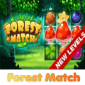 有趣的森林比赛